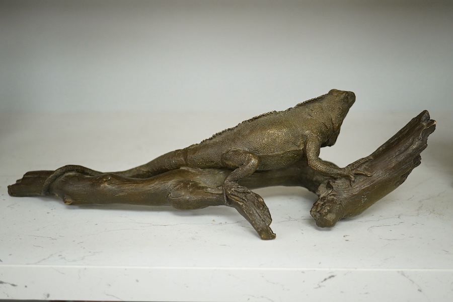 A bronze of an Iguana on a branch, 33cm long. Condition - good.